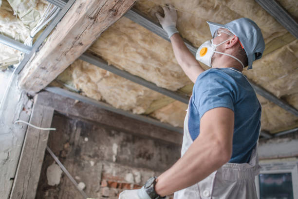 Insulation for New Construction in Cecil Bishop, PA