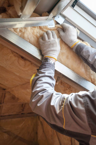 Best Crawl Space Insulation  in Cecil Bishop, PA