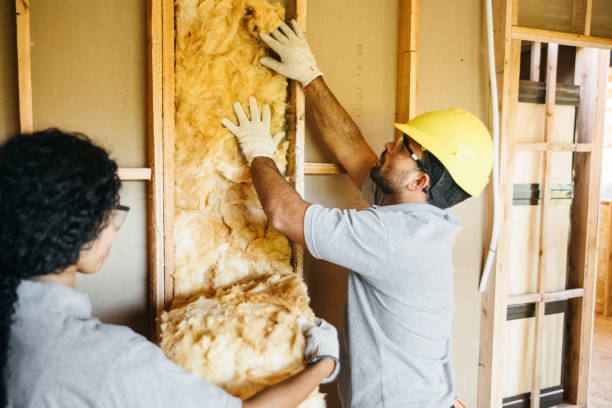 Best Insulation Replacement Services  in Cecil Bishop, PA
