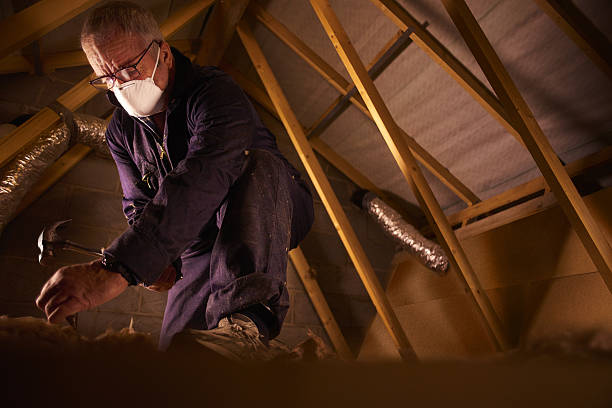 Best Home Insulation Services  in Cecil Bishop, PA